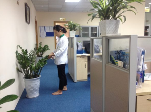 Giúp Việc Văn Phòng Hà Nội Chuyên Nghiệp – Báo Giá Nhanh